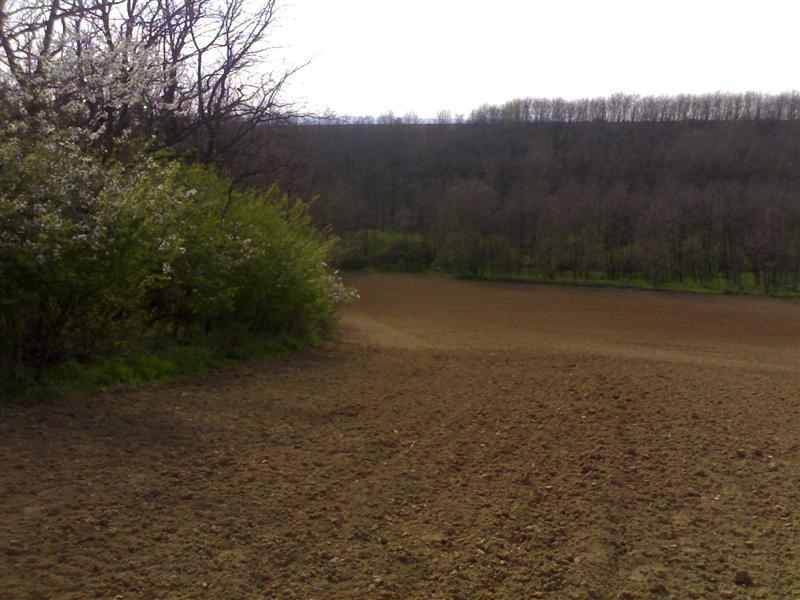 200704091694 .jpg